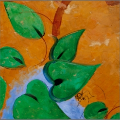 Image 10